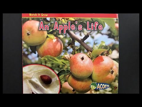 An Apple’s Life Read Aloud