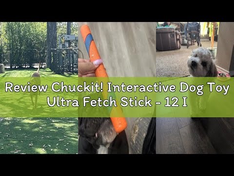 Review Chuckit! Interactive Dog Toy Ultra Fetch Stick - 12 Inch Outdoor Dog Toy for All Breed Sizes