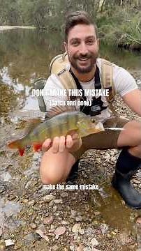 Have you ever cooked up Redfin perch? #redfinperch #trout #fishing #rainbowtrout #catchandcook