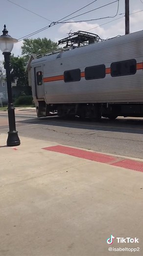 Gabe the dog on TikTok