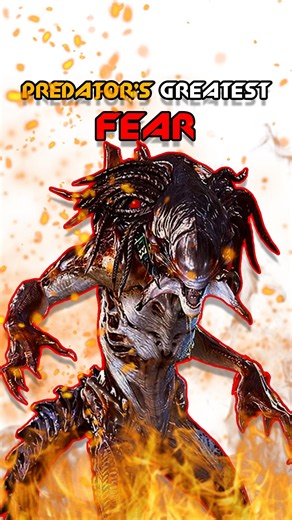 Yaujta's Greatest FEAR: PREDALIEN | (AvP Lore) 🔥| #avp #xenomorph