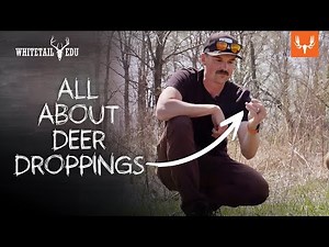 All About Deer Droppings | Whitetail EDU | With Mark Kenyon and Tony Peterson