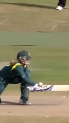 Best Catches in world Cricket #cricket #shortsvirel #Shorts#shortsvirel