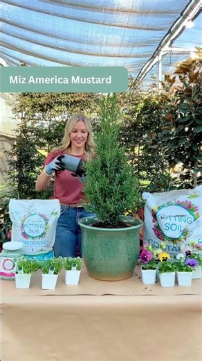 Bring Autumn to Your Porch with Fall Containers - Small Container