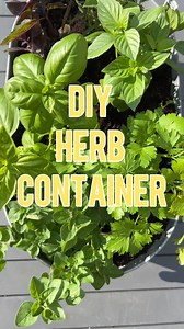 3.8K views · 17 reactions | Creating your very own fresh herb container is easy and incredibly rewarding.塞 Join author and gardener Urban Farm and Kitchen as he shows you how to select and fill your container, and how to plant and care for the herbs. You'll be harvesting fresh herbs all summer long! Produced in association with CBC Creator Network. | CBC Life | Facebook