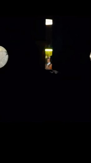 Road House - Official Trailer (2024) Jake Gyllenhaal, Conor McGregor. 🔥🔥🔥🔥 . @thenotoriousmma . “Road House” is a classic action film released in 1989, directed by Rowdy Herrington. The movie stars Patrick Swayze as Dalton, a tough and enigmatic bouncer with a philosophy degree. Hired to clean up a rowdy bar called the Double Deuce, Dalton faces challenges from a corrupt businessman, Brad Wesley, played by Ben Gazzara. The film is known for its intense fight scenes, featuring Swayze’s martia