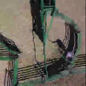 Designed to work cattle easier, faster, and safer. The Portable Q-Power 107 Series chute, alley and tub is up to any task. | Arrowquip