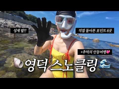 (Screenshot this) I’ve hit all 6 snorkeling spots in Yeongdeok!🐠 Plus, a trip back to Andong afte...