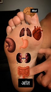 Feet Accu... Points | Healing Therapy