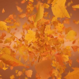 Amp up your home appliances with the Masterplug 4 Socket 13 Amp Cable Reel. This robust design features four sockets and a safety thermal cut-out to prevent overheating. €29.99 in the Topline Autumn Sale. | Topline | Facebook