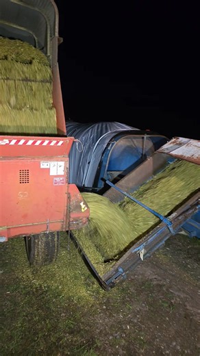 Bagging some corn contact us for you bagging needs roller mill also available with the bagger | B & H Services | Facebook