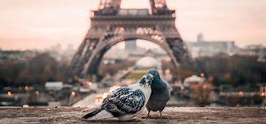 Quelle est la signification des heures miroir en amour ? - WeMystic France