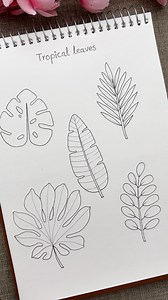 57K views · 2.6K reactions | Leaves in different perspectives  ...