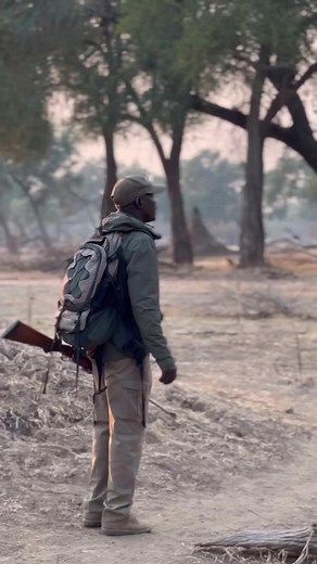 Mana pools is the most magical wilderness area to walk in, and under the expert leadership of an African Bush Camps walking guide, whose Zimbabwean training is as rigorous as it gets in Africa, your safety is guaranteed. The sounds, the scents, the overriding silence bar bird song or monkey chatter or impala snorts, and the soft, clear, early morning light which filters a red rising sun, alchemise to create a dreamy, otherworldly experience that has to be lived to be felt. To walk upon or beside