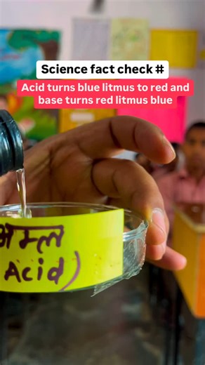 ✨Acid Base indicator -Litmus paper Acid turns blue litmus paper red and base turns red litmus to blue as seen … #upbasiceducationdepartment✍️✍️ instagramreels. #reels. #explorepage. #instagood. #viralreels. #contentcreator. #trendingreels. #socialmedia#basiceducationdepartment #science #school #funscienceforkids #sciencefacts #fun #upbasiceducation #experiment #primaryschoolteacher #primaryschool #schoolfoundations #basicfacts #compulsory #acid#base #learning #playway #nopressure | Vineet Chaudh