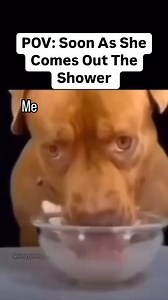 598K views · 9.9K reactions | 浪 | Johnny Flowers | Facebook