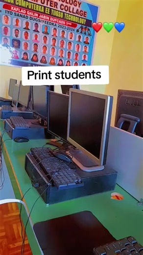 Xirfadaha ku Shaqaynta: Ardayda College