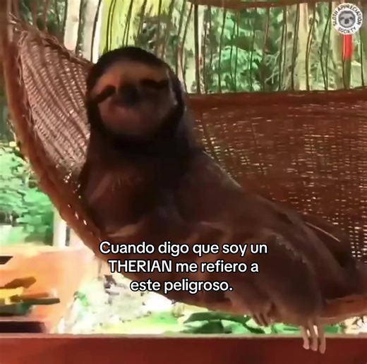 ¿Qué es ser THERIAN? Descubre este fenómeno viral