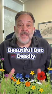 Beautiful But Deadly Did you know that tide pooling can be a double-edged sword? Tide pooling, a fascinating activity where the tide retreats, leaving behind pools teeming with trapped organisms, is a joy to many nature enthusiasts. However, it's not all fun and games. There are certain conus shells, often collected by shell enthusiasts, that are incredibly deadly. So, the next time you're out tide pooling, remember to enjoy, respect, and observe, but refrain from touching. Follow for more life-