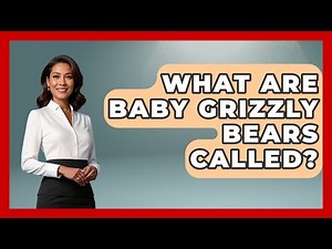 What Are Baby Grizzly Bears Called? - The Wild Life Explorer