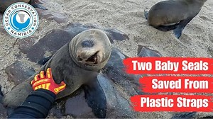 4.2K views · 388 reactions | We despise packing straps. When these...