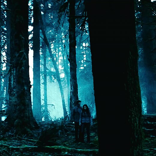 Captivating Twilight Aesthetic Edits