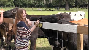 Farm animal rescue looking to continue monthly “Farmers Moo-ket”