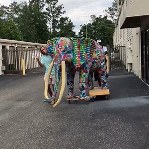 2.6K views · 248 reactions | Big Tim made it to America! One of...