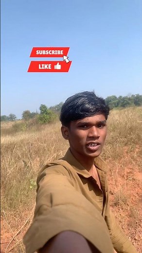 “Kodo Farming Complete Process| Low Cost, High Profit | Kodo Millet Farming Vlog 2025”