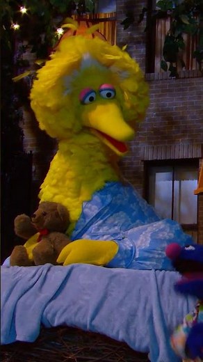 Is Big Bird Asleep?😴#sesamestreet