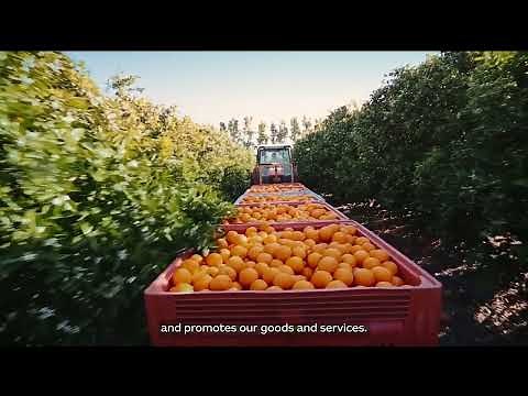 Austrade Explainer – What we do/How we help do business