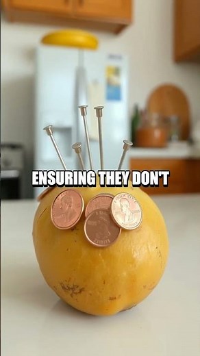 The Thrilling Potato Clock Experiment