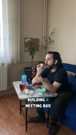 Building A Nest For My Rabbit