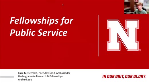 Public Service Fellowships