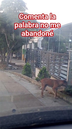 familia comenta la palabra no me abandoné gracias que Dios los bendiga