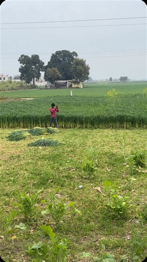 collage wala Munda ❤️‍🔥👻 on Instagram: "💘"