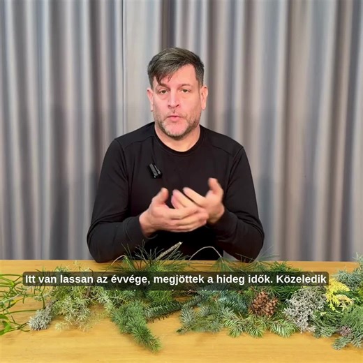 Virággal egy mosolyért on Instagram: "Itt van lassan az évvége, megjöttek a hideg idők. Közeledik a karácsony is, és ilyenkor sokkal nagyobb jelentőségük lesz majd a különböző örökzöldeknek. Most ebbe fogunk picit részletesebben belemenni. Fogom majd még tovább boncolgatni a témát, most először a levéltípusokról ejtsünk pár szót. Ugye örökzöldeknél meghatározunk lomblevelű örökzöldeket, ezek ugye a kétszikűek közé tartozó örökzöldek, aztán vannak a nyitvatermők között különböző tű típusok, példá