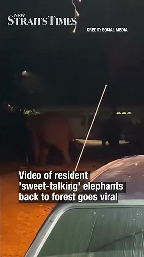 Video of resident 'sweet-talking' elephants back to forest goes viral