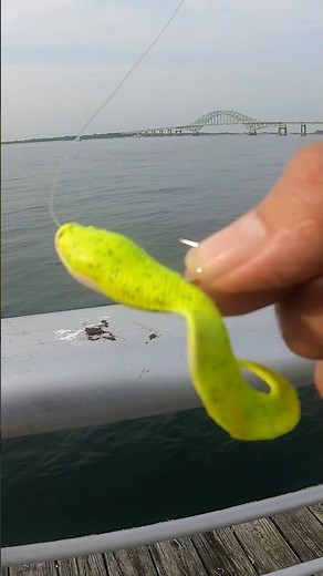 How to Rig Any Grub Twister Tail or Gulp Bait #howtofishing #gulp #grub #bait #fishingtechniques