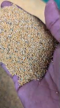 Scotts Triple Action Weed Control, Weed Preventer, and Fertilizer #honestreview