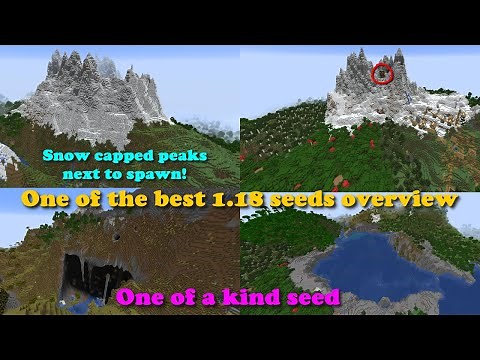 This minecraft 1.18 seed is one of a kind! Snowy peaks, stone peaks and many biomes around spawn