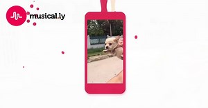 869K views | 4 out of 5 Dentists Recommend musical.ly for improved smiles ! | TikTok | Facebook