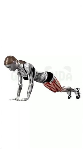 Push-up - Perfect Form Guide #shorts