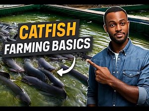 Catfish Farming 101: Beginner’s Guide to Successful Catfish Production