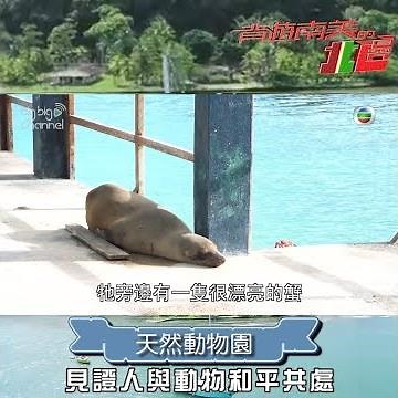 背遊南美的北邊｜天然動物園 見證人與動物和平共處｜梁彥宗｜進化島｜加拉拍哥斯群島