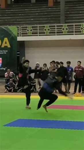 Indonesia national game pencak silat