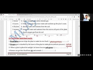 Solving exercises on lesson 3 (first term) primary 5