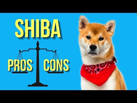 15 MUST-KNOW Shiba Inu Pros and Cons ( Before You Get One )