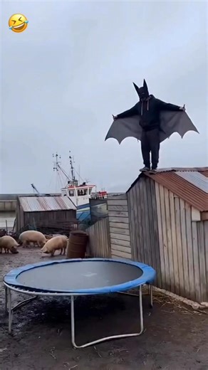 Bat man #funny #shorts