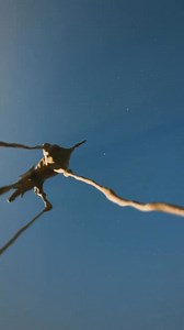 🎨 Arte en movimiento. 🎥 Por el video-artista español de VFX Marcos Medel Inspirado por su formación académica en Bellas Artes, Medel utiliza Blender y After Effects para dar vida a la calidez de Van Gogh, el surrealismo de Dalí y las ilusiones de Magritte, creando una experiencia visual que nos traslada dentro de las obras maestras. *ACLARACIÓN HECHA POR EL AUTOR: «Este video NO está generado con IA. Fue creado en Blender y me llevó más de 72 horas de trabajo. El uso de la herramienta Meshy co